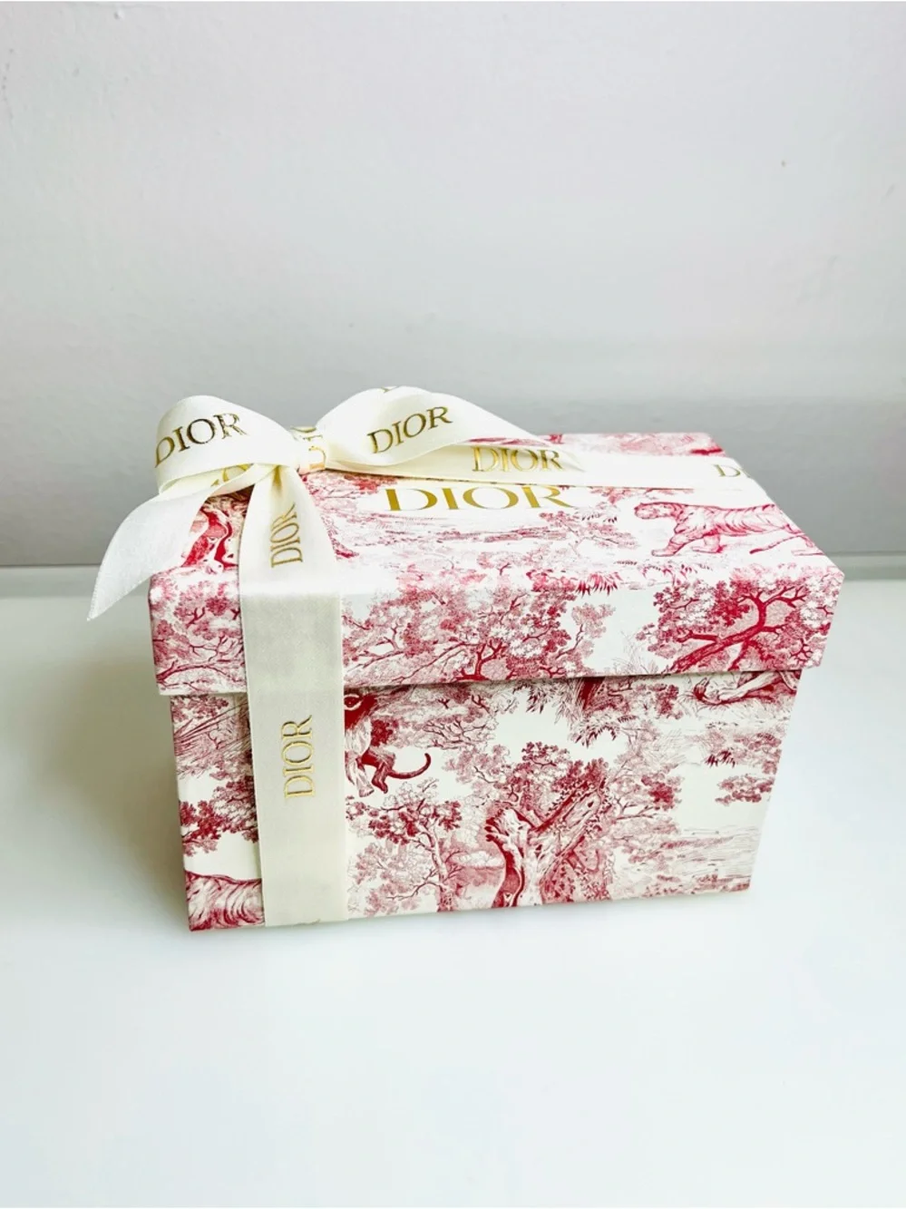 Christian Dior Red Toile de Jouy Small Gift Box with Ribbon 7